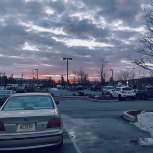 Meet your Posher, Maddie